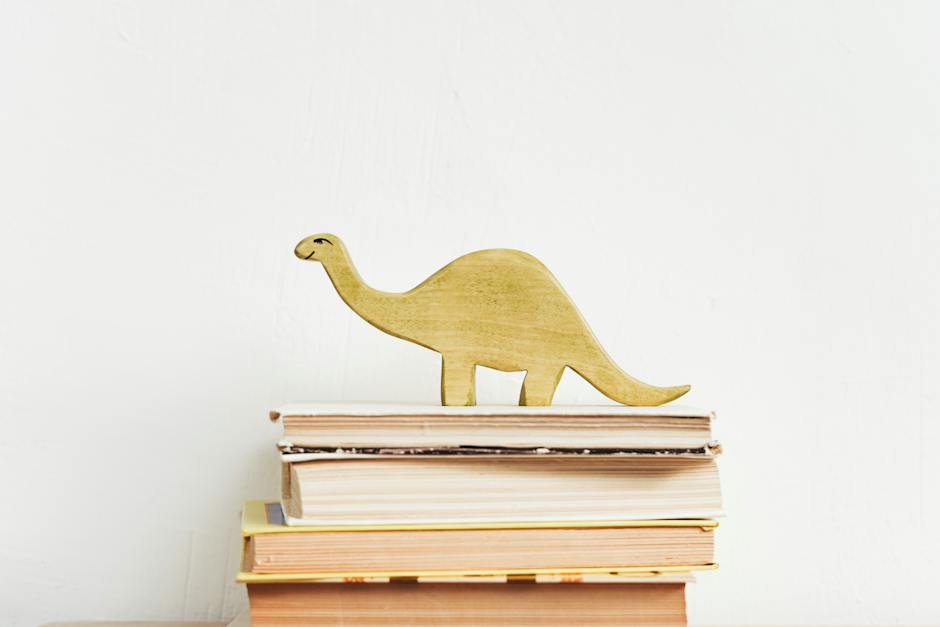 중랑구 장난감도서관 3호점