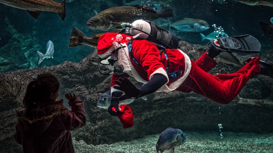 산타 클로스 장난감 할인마트