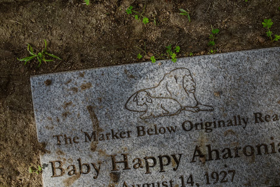 오산 임신육아박람회