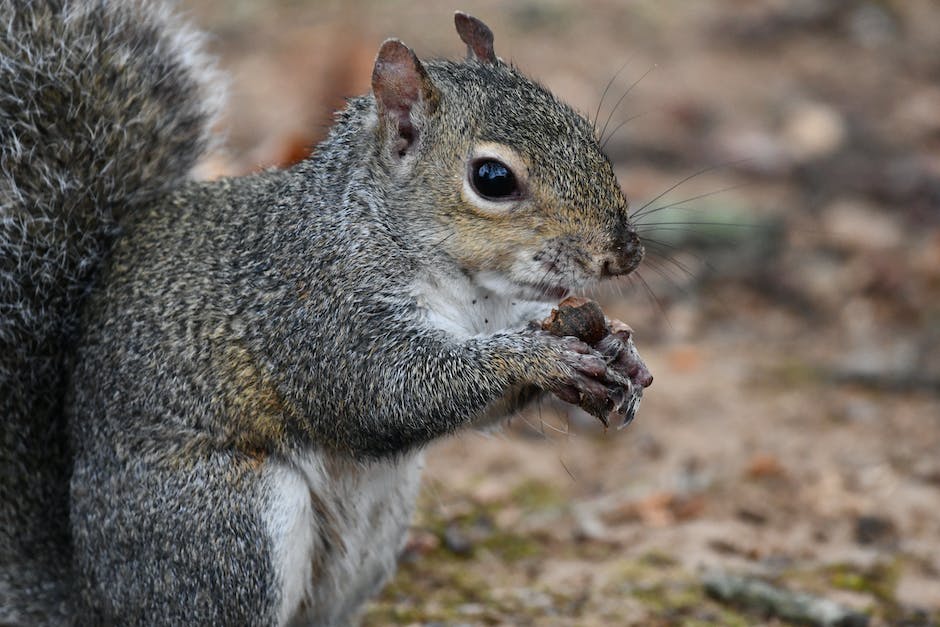 꼬마숲 어린이집 성포동점