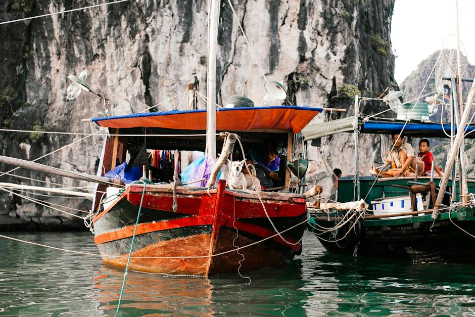 아동복무지개의류