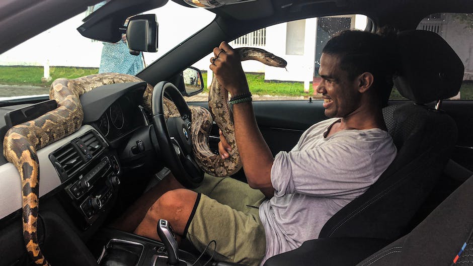 큰자동차 장난감