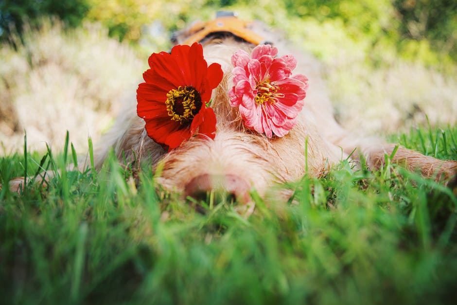 관저동 키즈카페