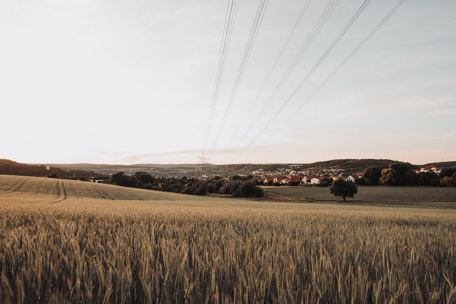 우리나라 낙태금지법