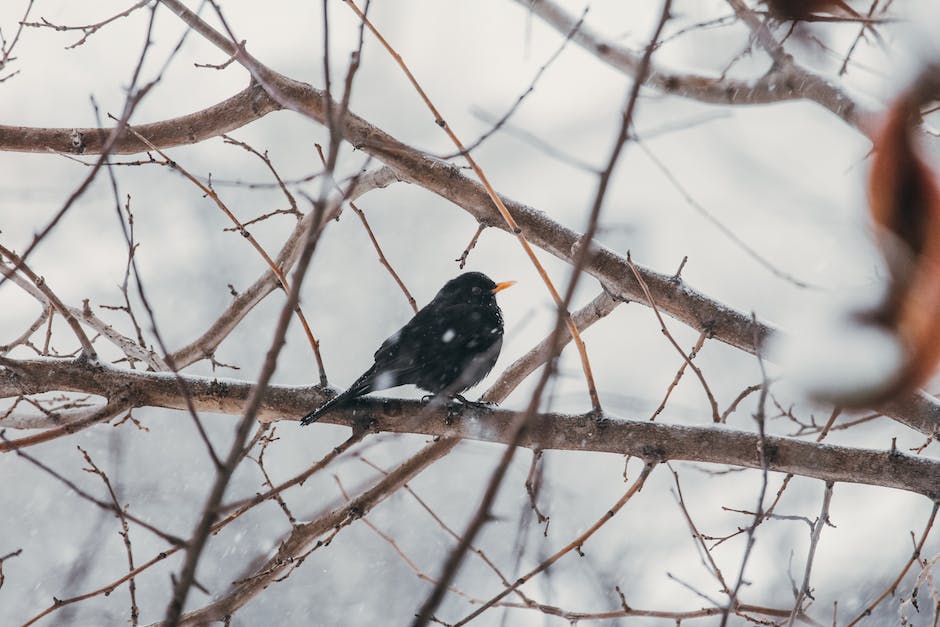 자연분만 출산 비용