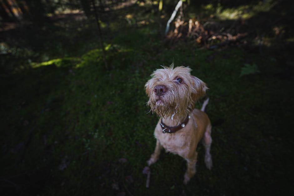 국내 최대 장난감 매장