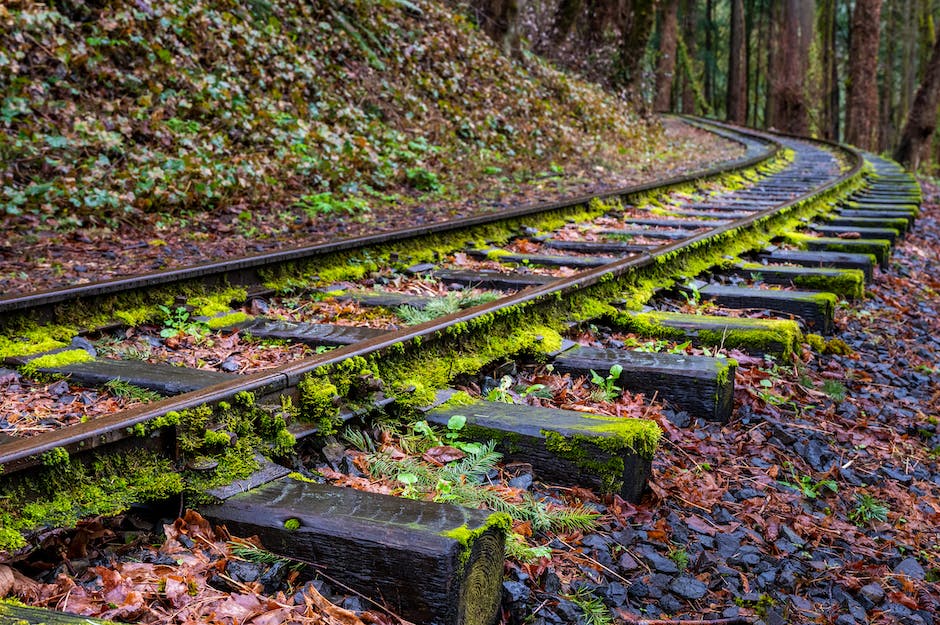 성산1동꼬마숲어린이집