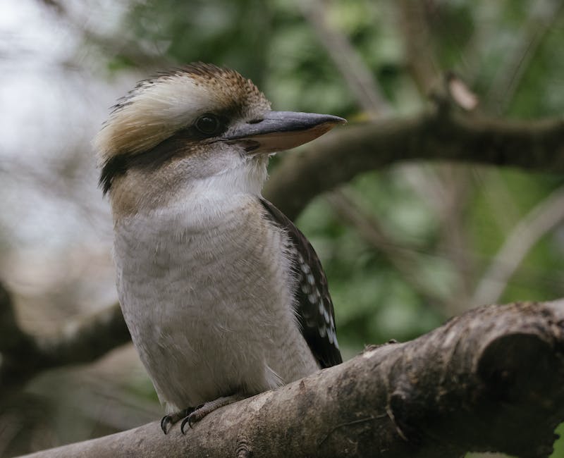 꼬마숲어린이집 상봉건영점
