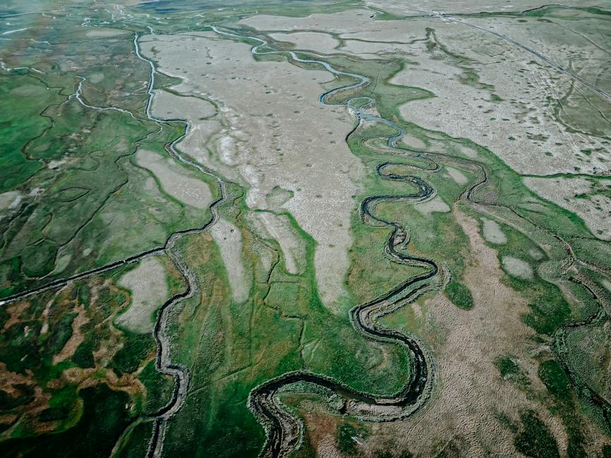 20대 결혼식 하객패션