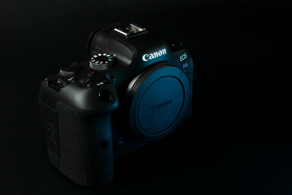 ebs 유치원 영어