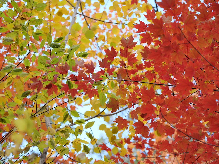 울산 다자녀 혜택