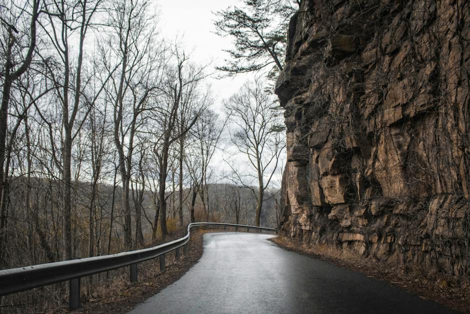 비가임기 임신확률