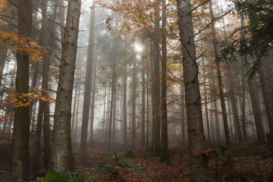 육아휴직 복직 후 급여신청방법