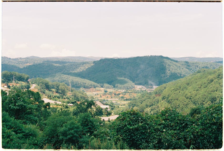수원산부인과여의사