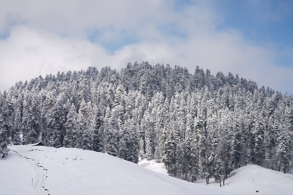 디차힐 아동복지시설