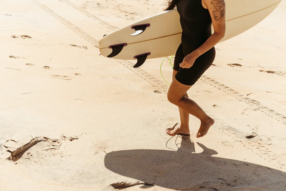 캐리와 장난감 친구들: 동물 친구들이 생겼어요