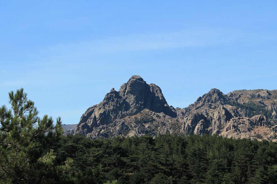 순풍산부인과 정배