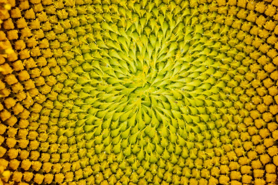 해바라기유치원버스