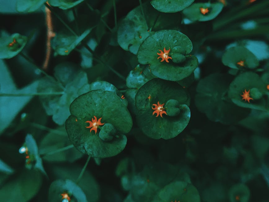 동천꼬마숲어린이집