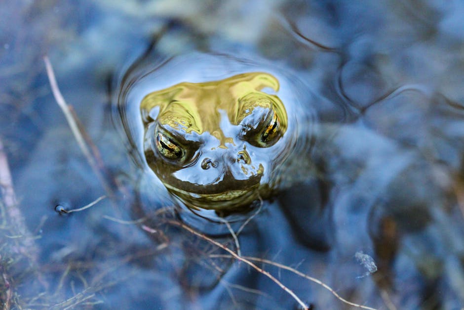 제천연세미즈 산부인과 의원