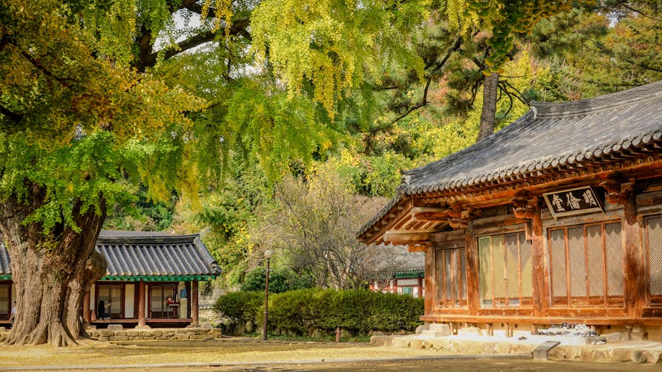 전주 장난감할인마트
