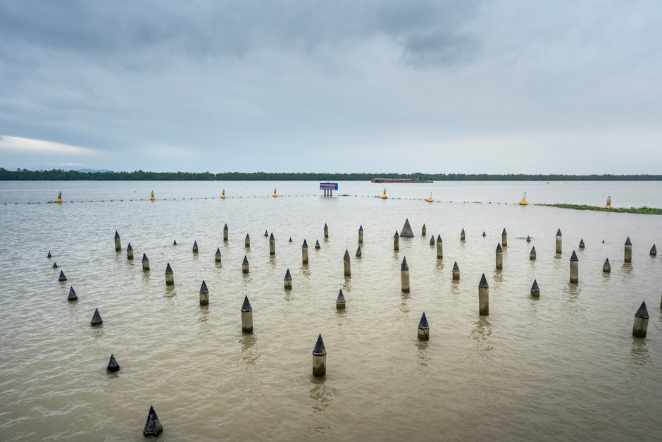 딩동댕 유치원 아차아차차