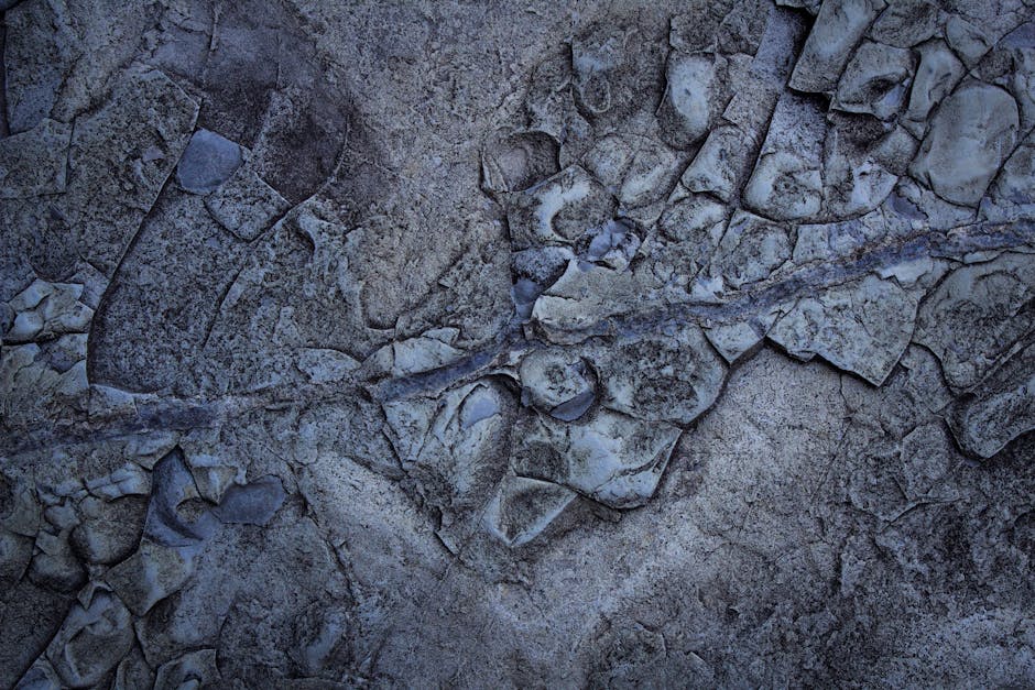 돌 아기 17개월 전요리 유아식 반찬 매생이전 만들기