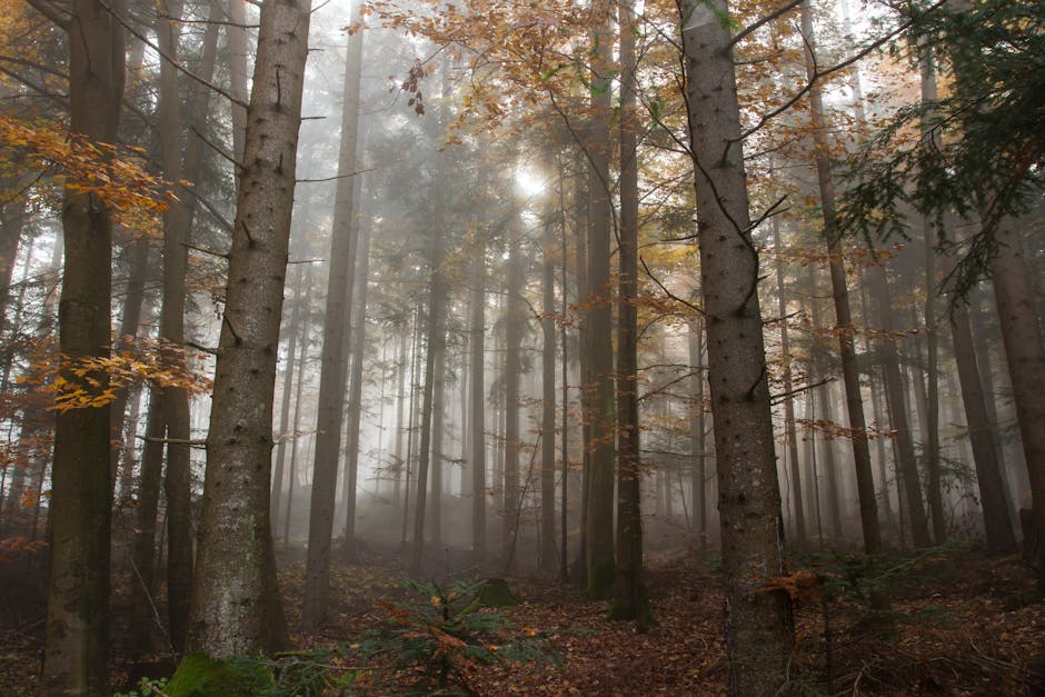 육아휴직 고용안정지원금