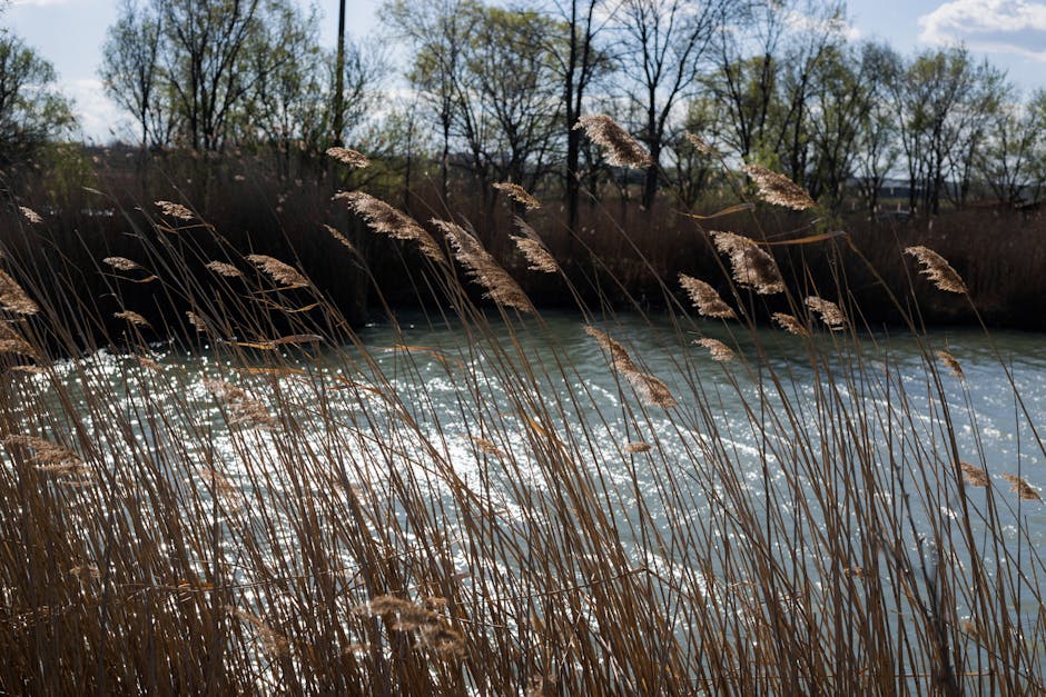 돌지난 아기 반찬
