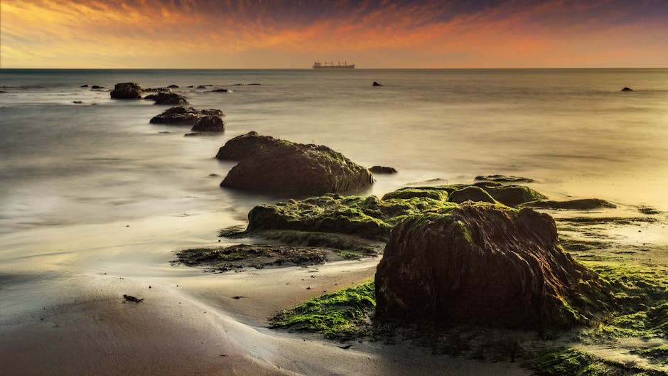 심현남 동탄 제일 산부인과