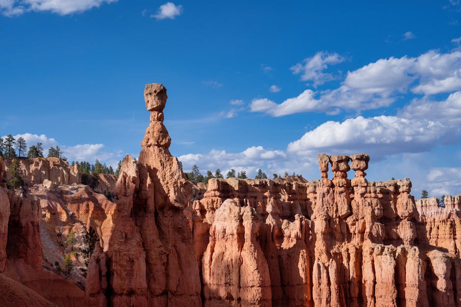 우리끼리 키즈카페 고래마을 동탄역점