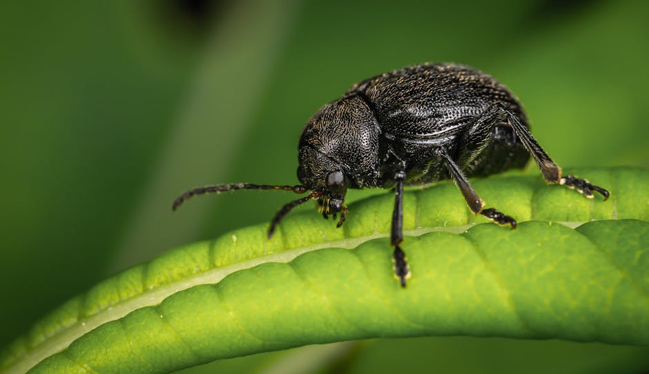 리틀비틀 키즈카페 서귀포점
